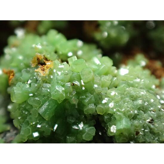 Pyromorphite