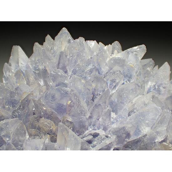 Creedite