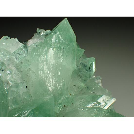 Apophyllite