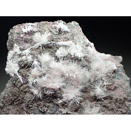 Phaunouxite Picropharmacolite & Erythrite