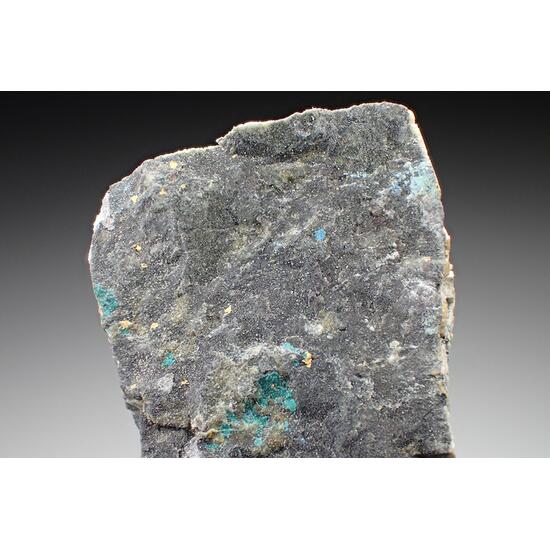 Gold Paratacamite & Pseudoboleite