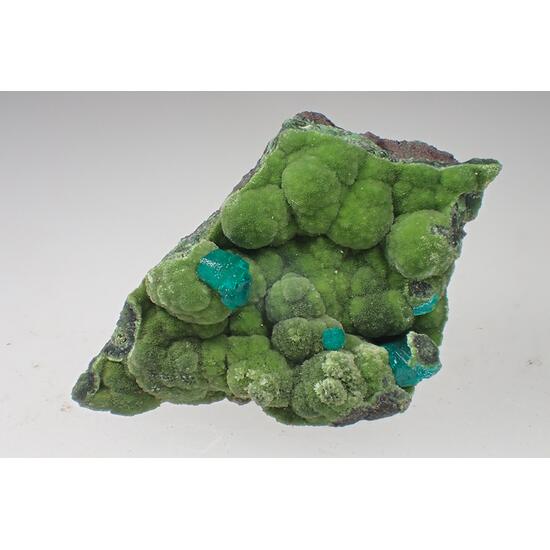 Dioptase & Conichalcite