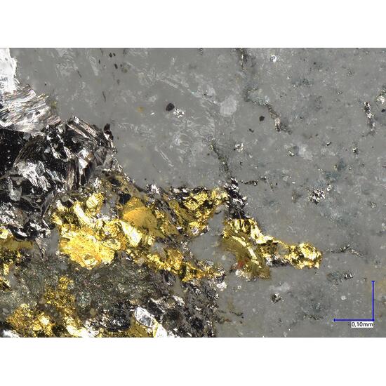 Tsumoite Gold & Tellurobismuthite