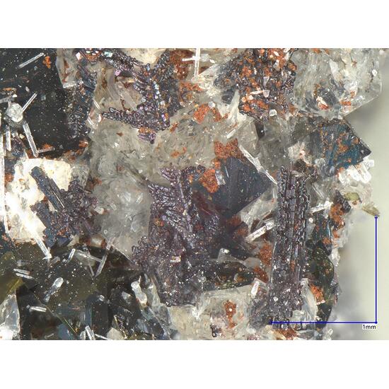 Perovskite & Clinopyroxene Subgroup