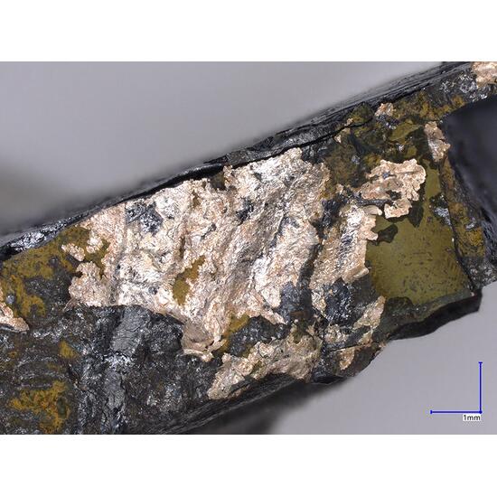 Silver & Chalcocite