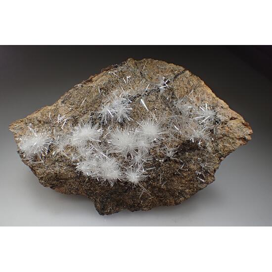 Gypsum