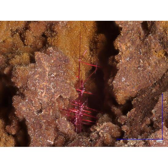 Chalcotrichite