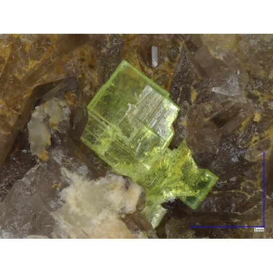 Autunite