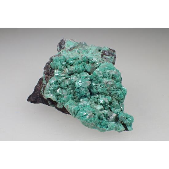 Cuprian Adamite & Smithsonite