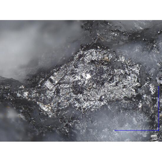 e Rocks Mineral Auctions