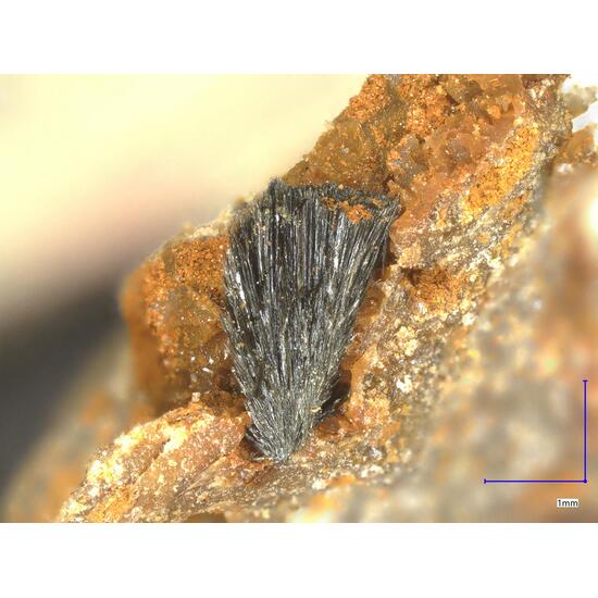 Symplesite