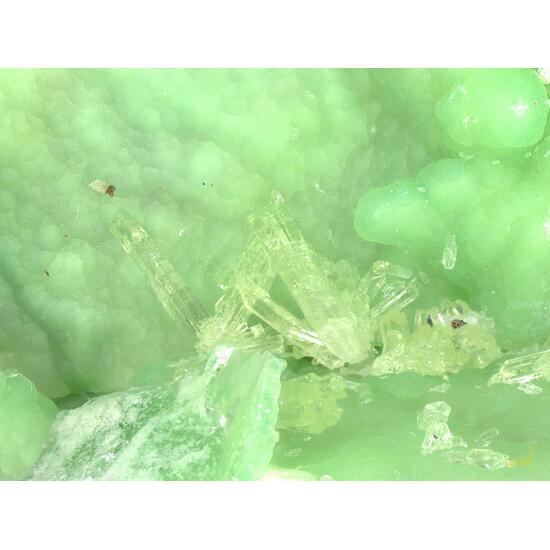 Variscite & Wavellite