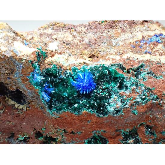 Azurite & Olivenite & Agardite