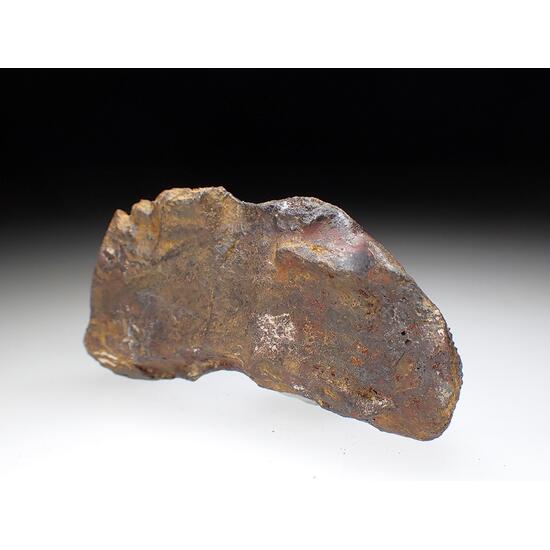 Meteorite