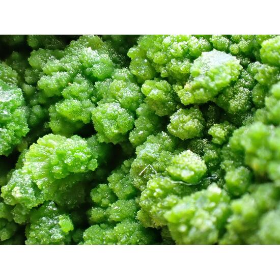 Pyromorphite