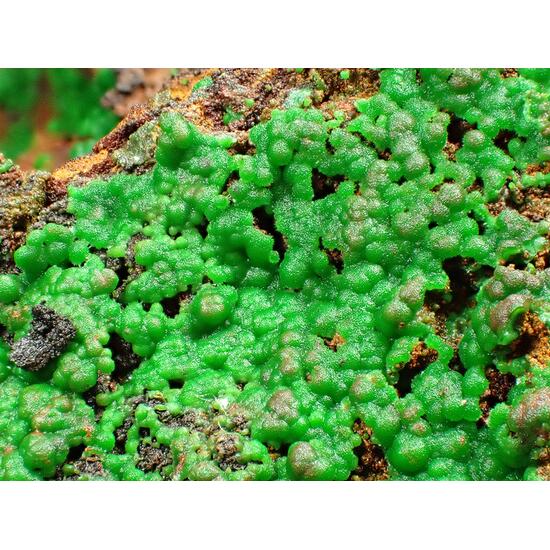 Conichalcite