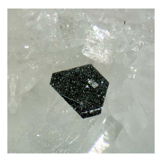 Tungstenite