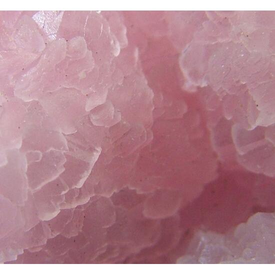 Cobaltoan Calcite