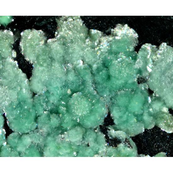 Morrisonite & Fulbrightite