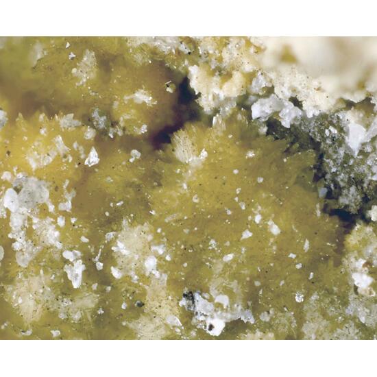 Dickthomssenite