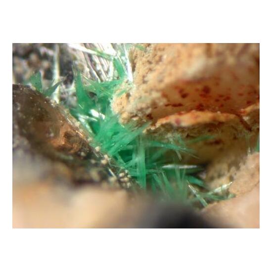 Ulrichite