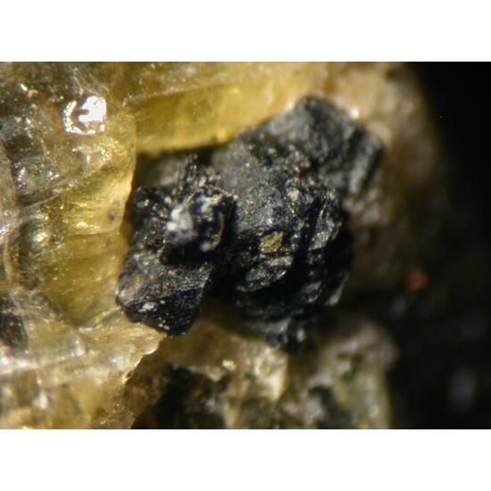 Calzirtite