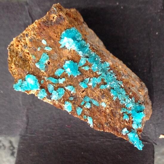 Turquoise