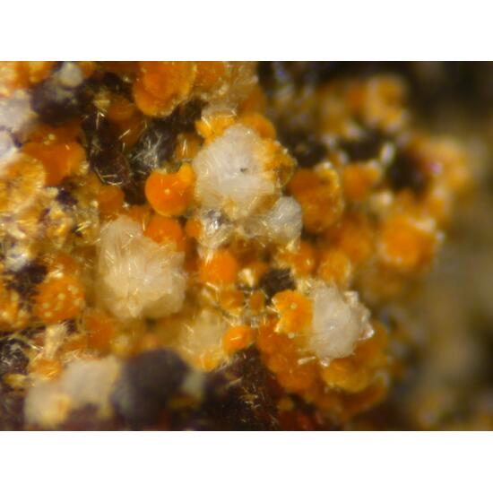 Matulaite Cacoxenite & Beraunite