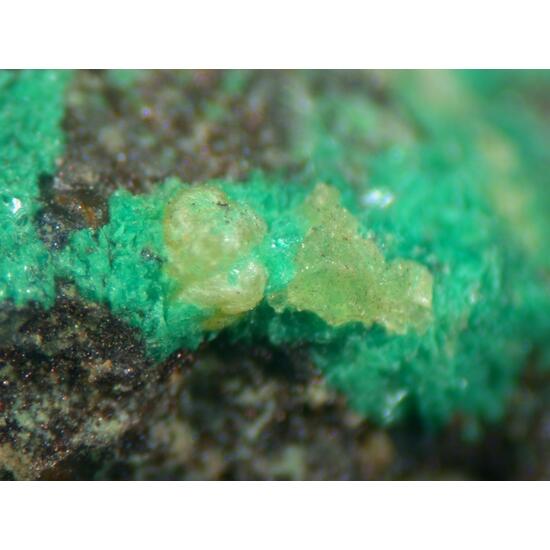 Voglite & Metazellerite