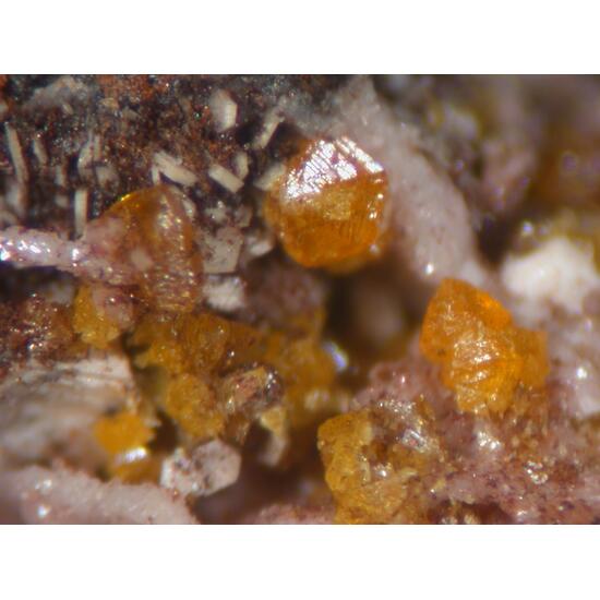 Zincite Sjögrenite Pyroaurite & Chlorophoenicite
