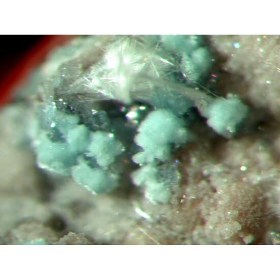 Matioliite Englishite & Carbonate-rich Fluorapatite