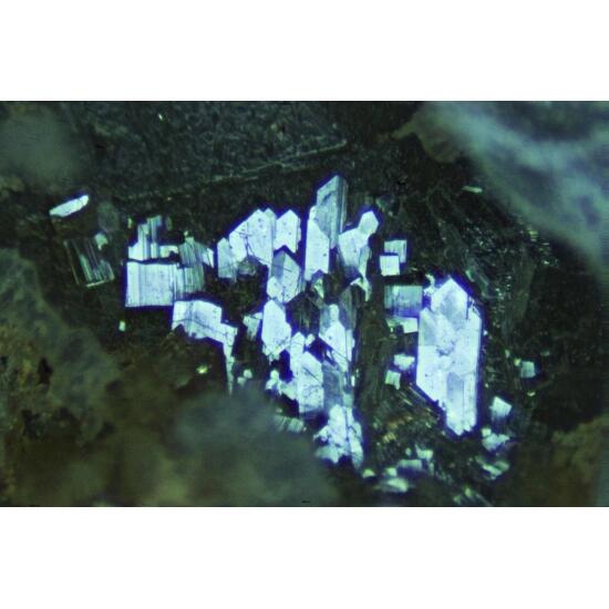 Raspite & Cuprotungstite