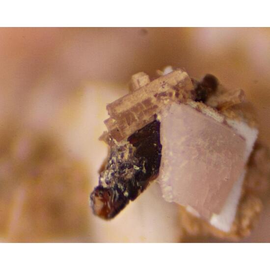 Nenadkevichite Ancylite-(Ce) Bastnäsite-(Ce) & Rhodochrosite