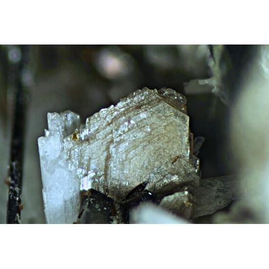 Catapleiite Fluorite Polylithionite & Rhodochrosite
