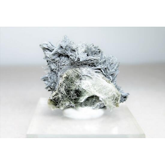 Elpidite & Polylithionite