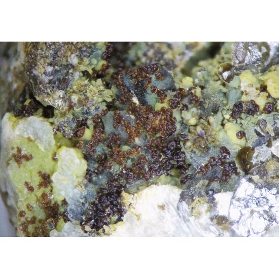 Whitmoreite
