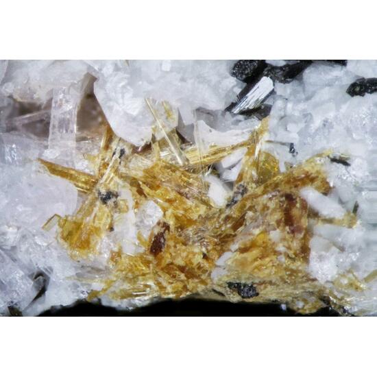 Lamprophyllite & Cancrisilite