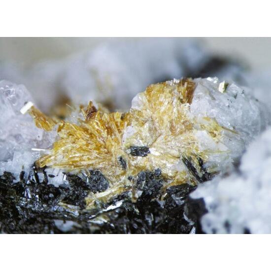 Lamprophyllite & Cancrisilite