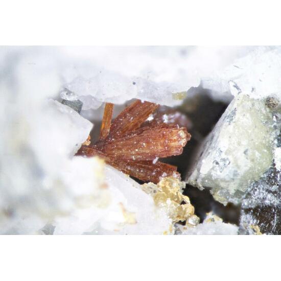 Labuntsovite Hilairite & Quartz