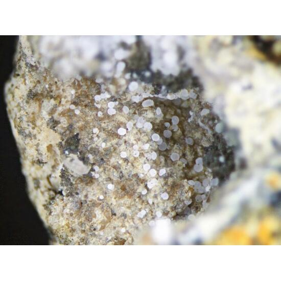 Hemimorphite