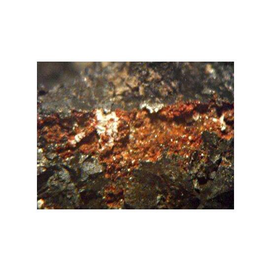 Coralloite