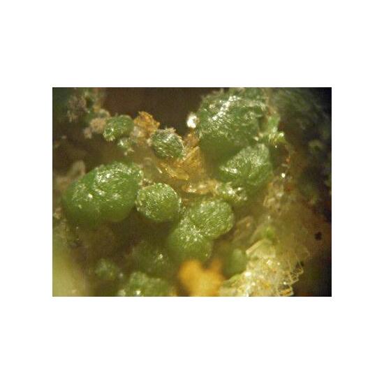 Pyromorphite