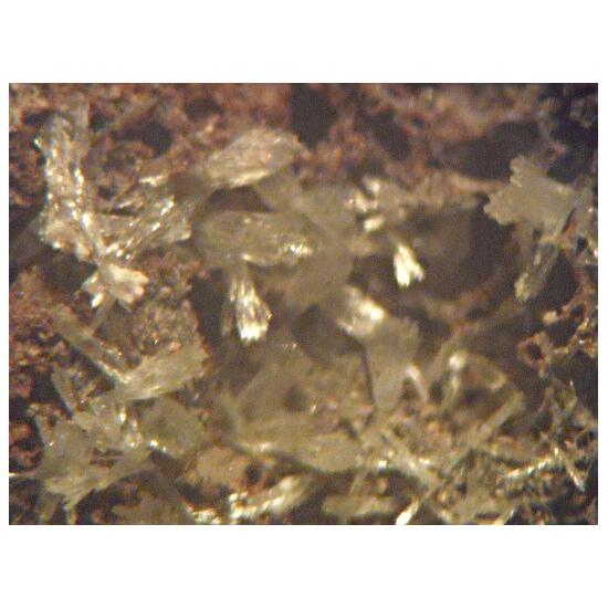 Artroeite