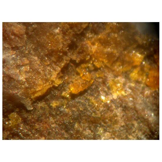 Sarkinite