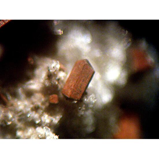 Magnesio-ferri-fluoro-hornblende