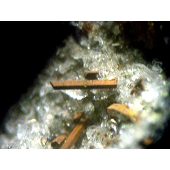 Magnesio-ferri-fluoro-hornblende