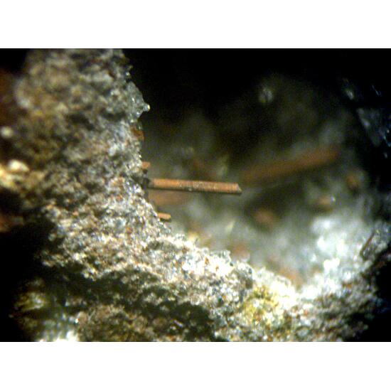 Magnesio-ferri-fluoro-hornblende