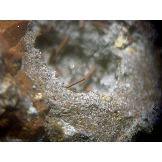 Magnesio-ferri-fluoro-hornblende