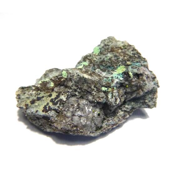 Eulytine