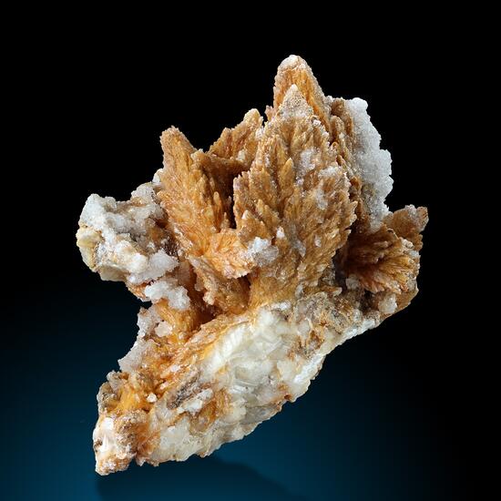 Calcite & Gypsum